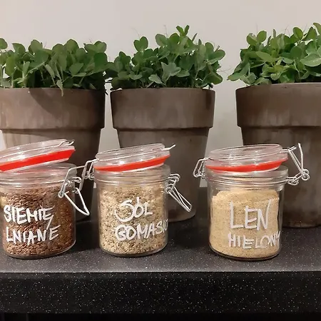 Ozone מלון דירות