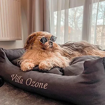מלון דירות Ozone