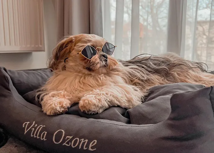 아파트호텔 Ozone