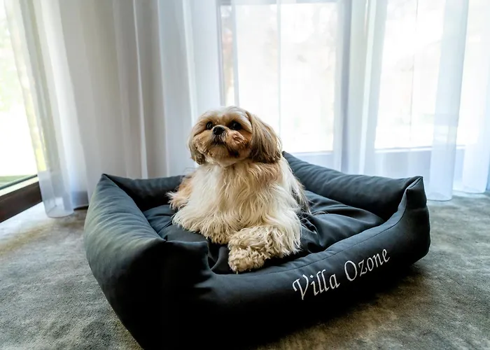 아파트호텔 Ozone